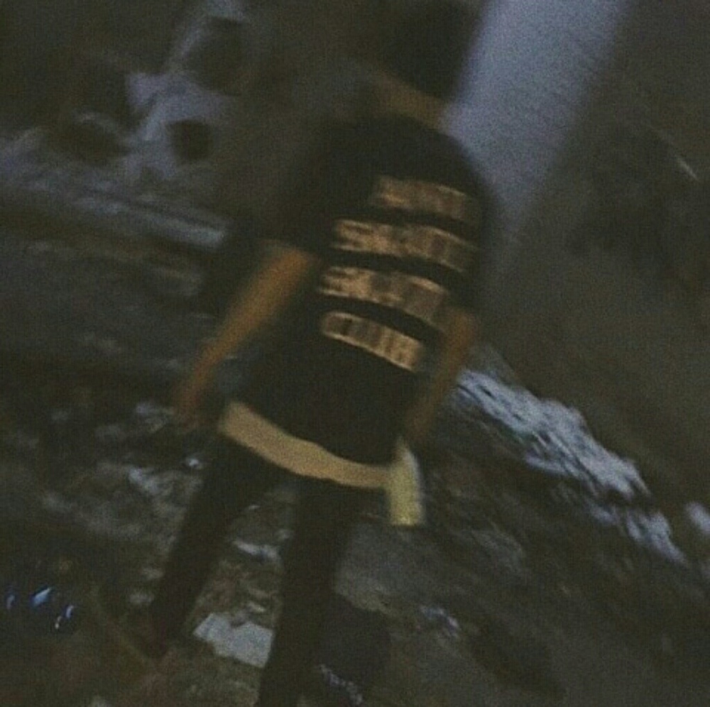 Meet your Posher, Dawson